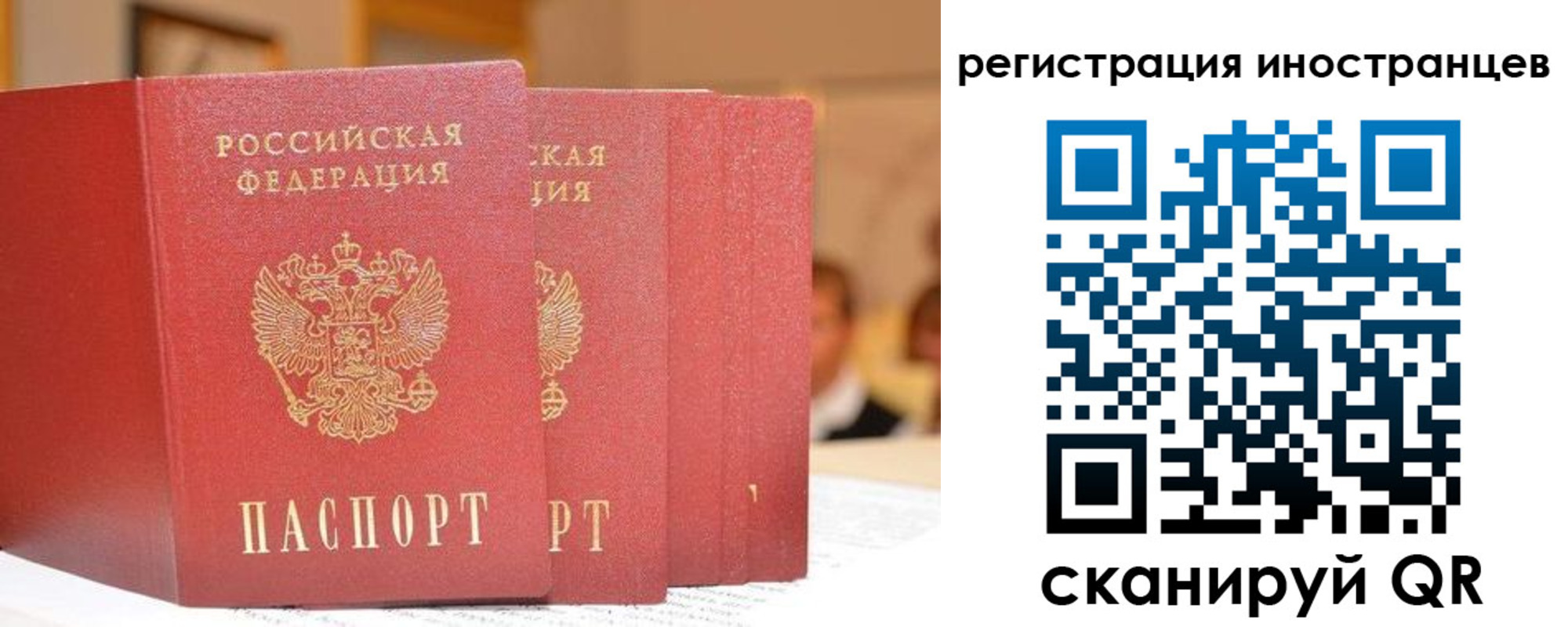 где прописаться в Михайловске